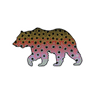 BEAR - RAINBOW