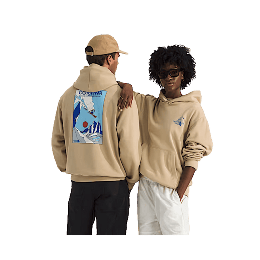 NORTH FACE MOUNTAIN CELEBRATION HOODIE - KHAKI STONE