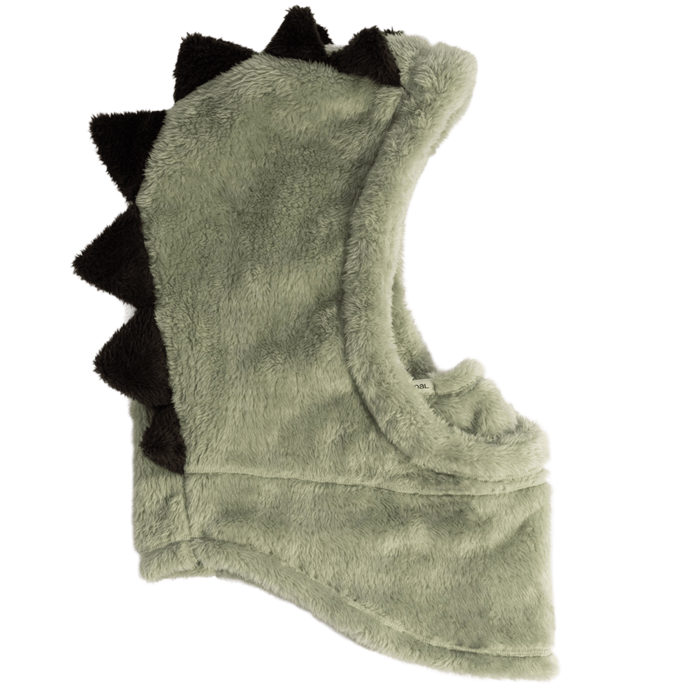 COAL KIDS RIDGE HOOD- SAGE DINO