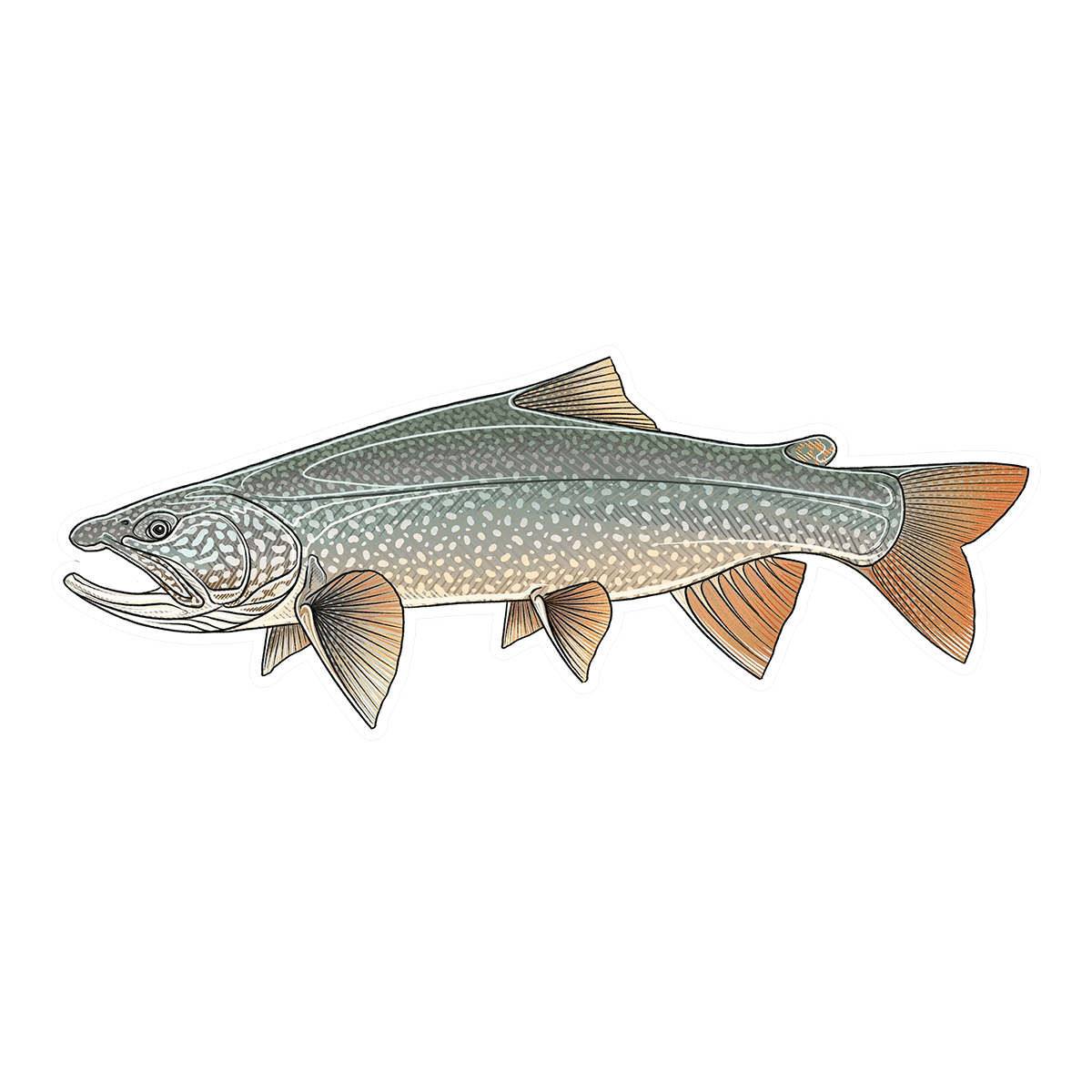CASEY UNDERWOOD FISH DECALS / STICKERS lake trout