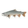 LAKE TROUT