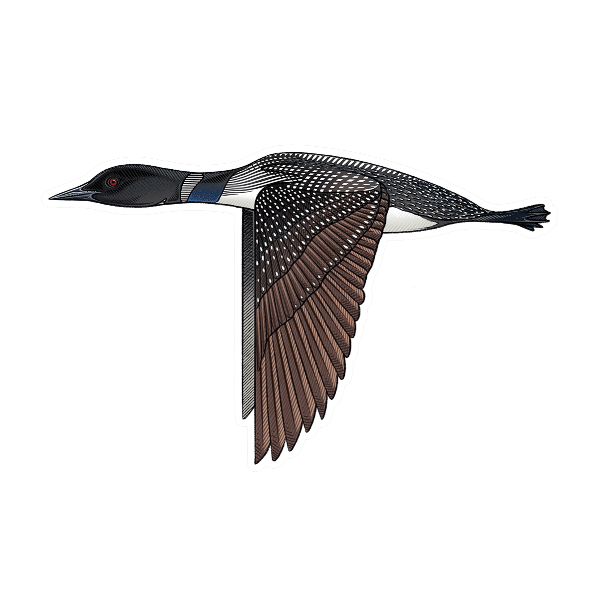 CASEY UNDERWOOD FISH DECALS / STICKERS loon 