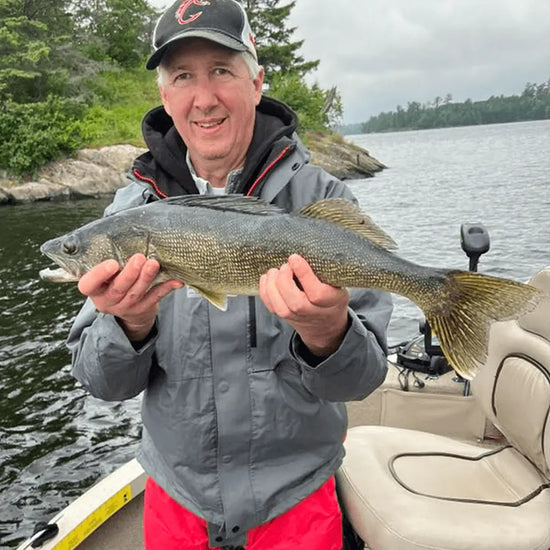 Showing off a nice walleye caught on Kabetogma lake in MN.