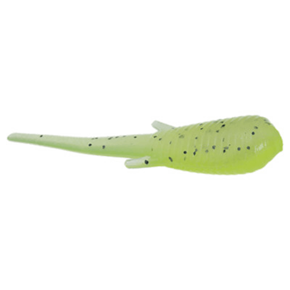 CLAM SOLDIER FLY
Chart Pearl