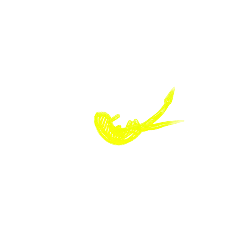 CLAM SCUDI XL
Chartreuse Glow