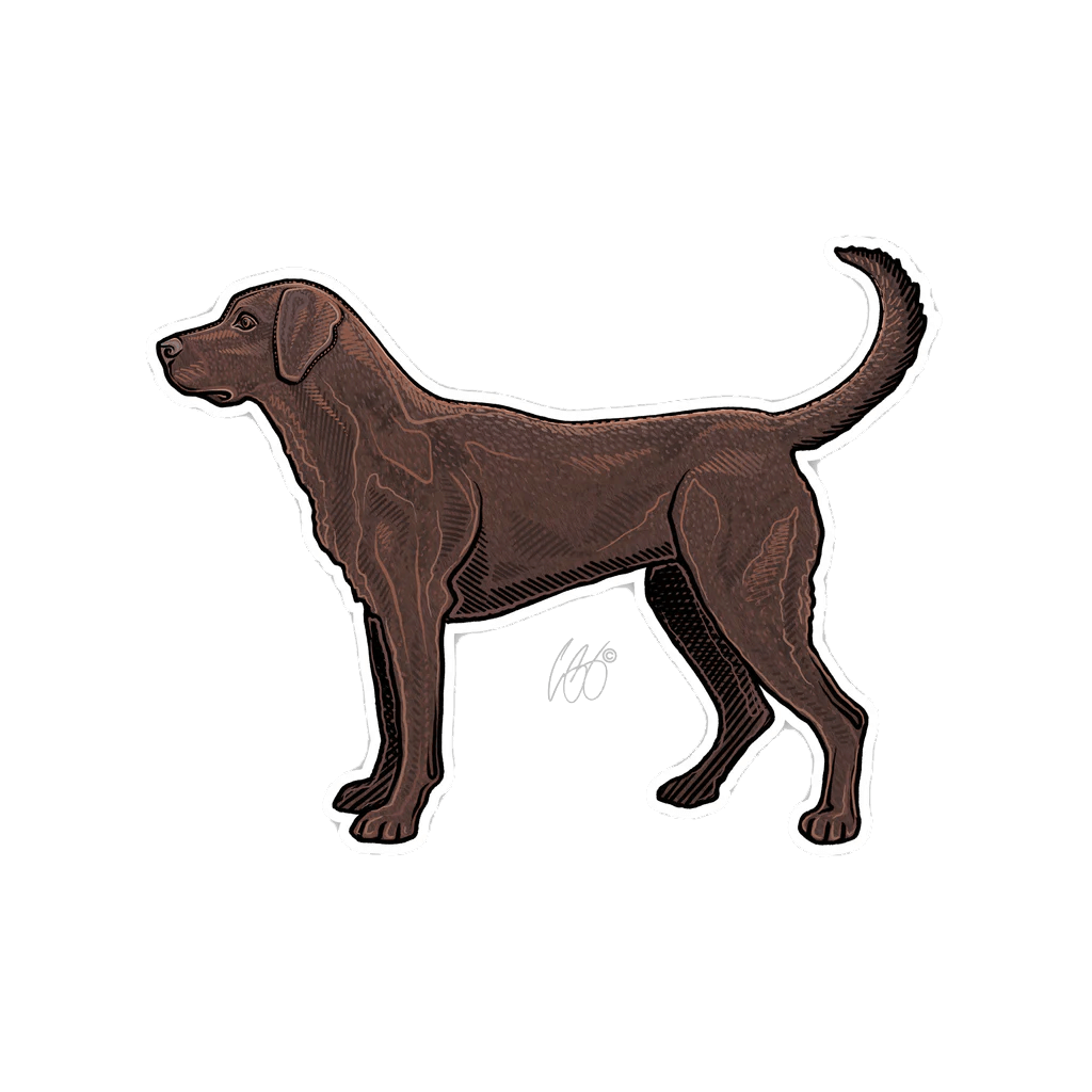 Chocolate_Lab_Decal