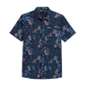 C NAVY PALMERIA