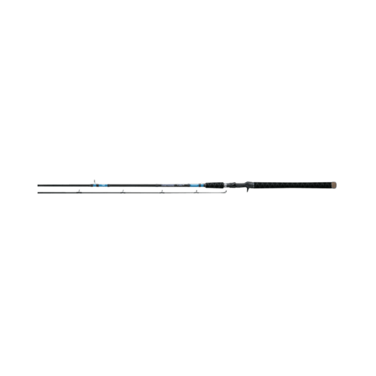 DAIWA BEEFSTICK CASTING ROD BLACK