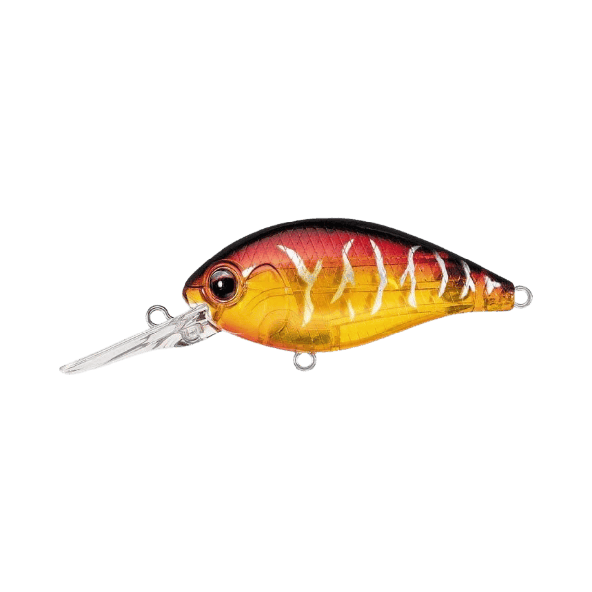 DAIWA EVERGREEN CR IMAGE