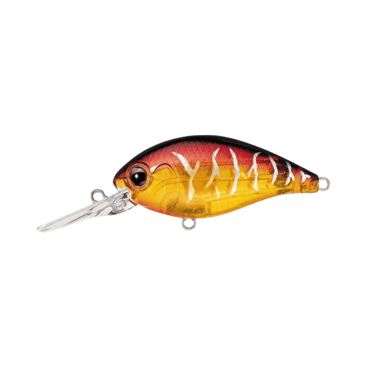 DAIWA EVERGREEN CR IMAGE