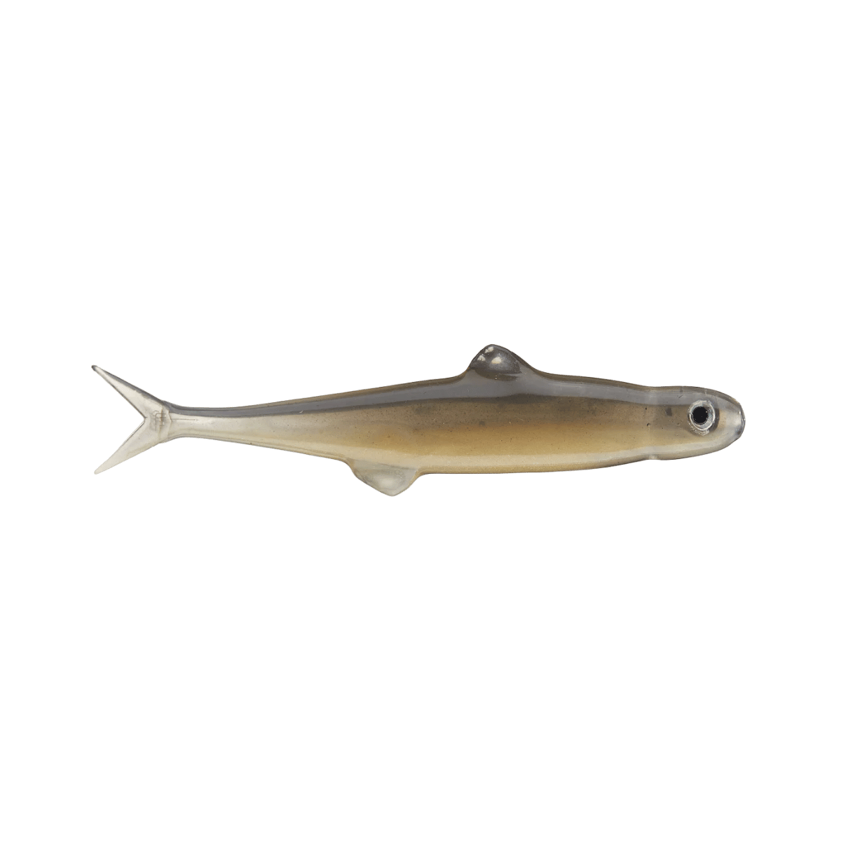 DAIWA EVERGREEN LAST ACE 75 BAIT FISH