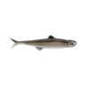 TRICK SHAD