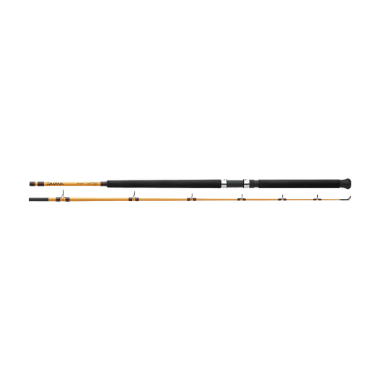 DAIWA FT TROLLING ROD IMAGE