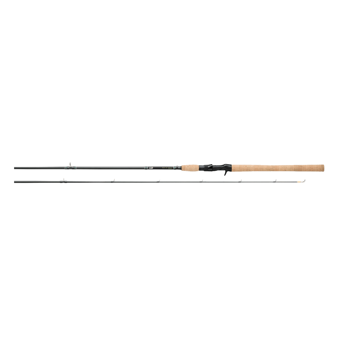 DAIWA COAST SS SPINNING ROD IMAGE