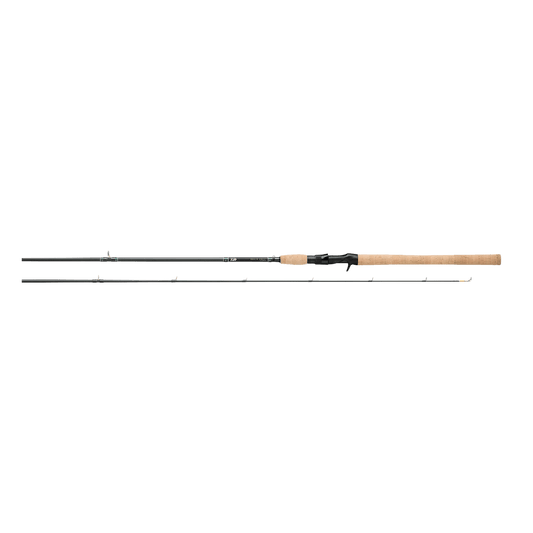 DAIWA COAST SS SPINNING ROD IMAGE