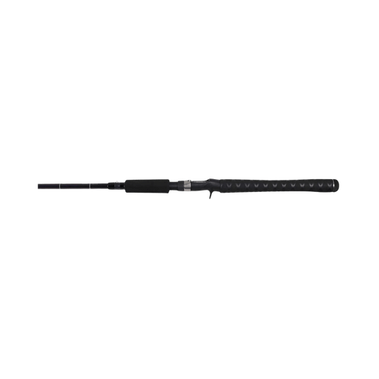 DAIWA RG SERIES CASTING ROD IMAGE