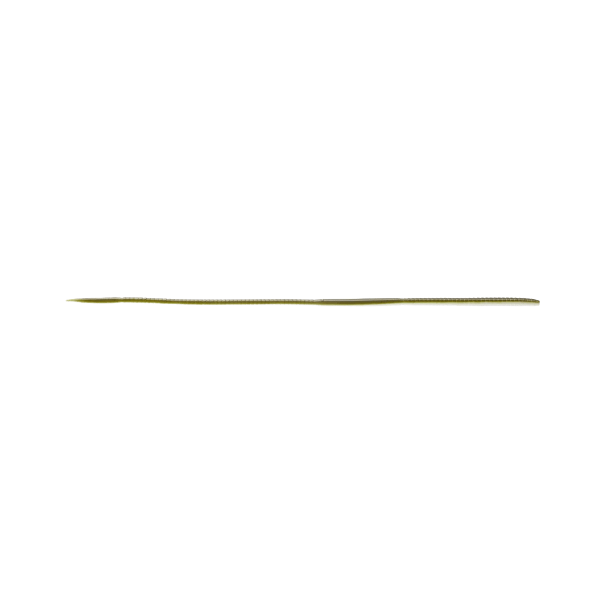 DAIWA EVERGREEN BOW WORM NOODLE 8IN natural eel