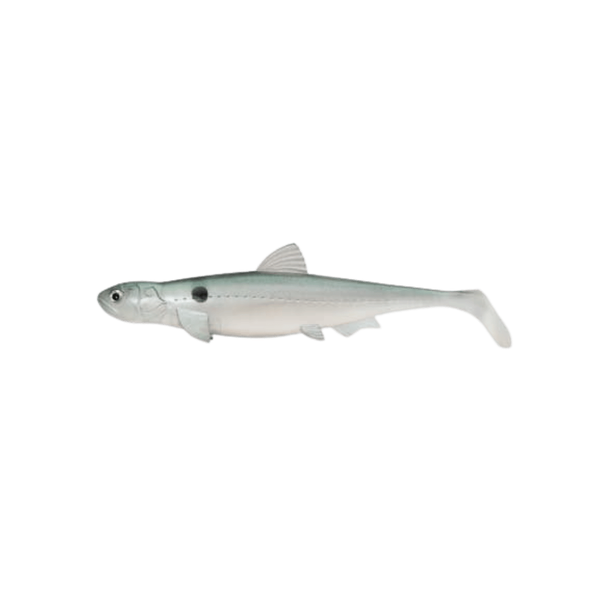 DAIWA EVERGREEN SB LAST ACE 140 BABYSHAD