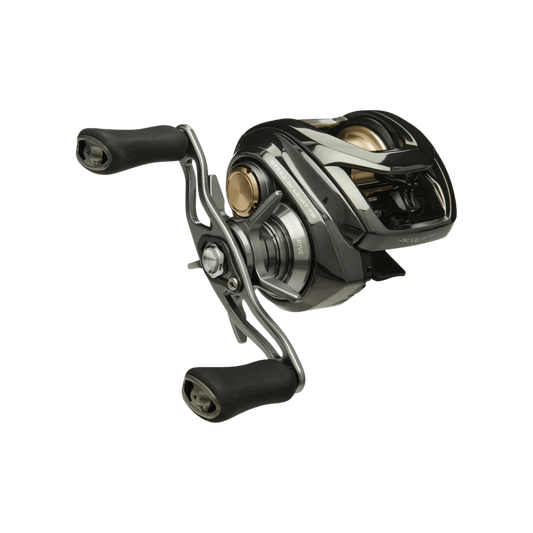 DAIWA STEEZ SV LIGHT TW BAITCAST 100