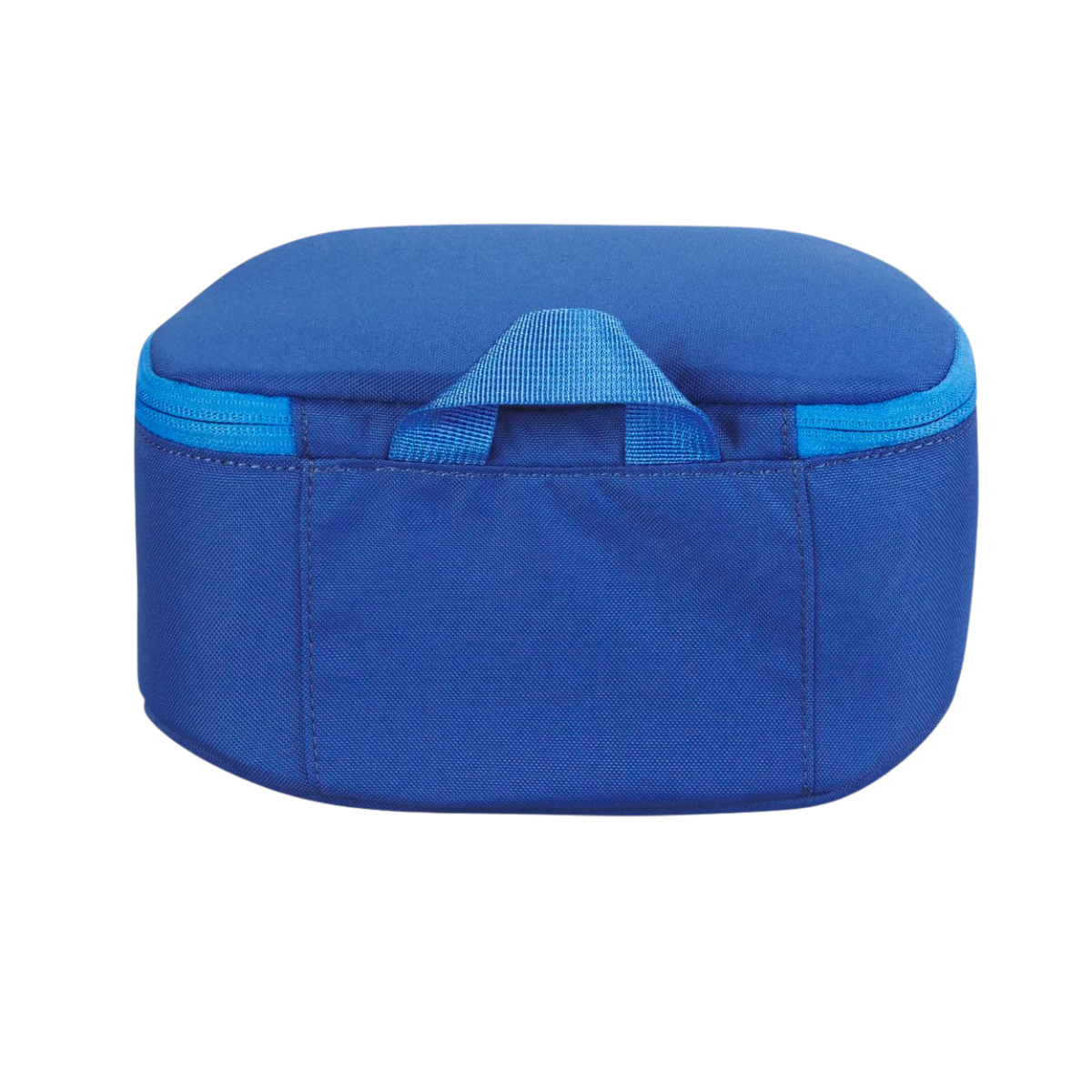 DAKINE_GOOGLE_STASH_CASE_DEEPBLUE_BACK