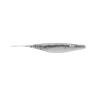 SILVER SHAD