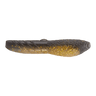 GOLDEN SHINER