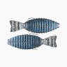 BLUE GILL