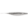 SILVER SHAD