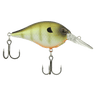 KILLER GILL