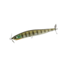 GHOST GILL