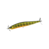 GOLD PERCH