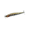 PRISM GILL