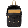 BLACK ONYX