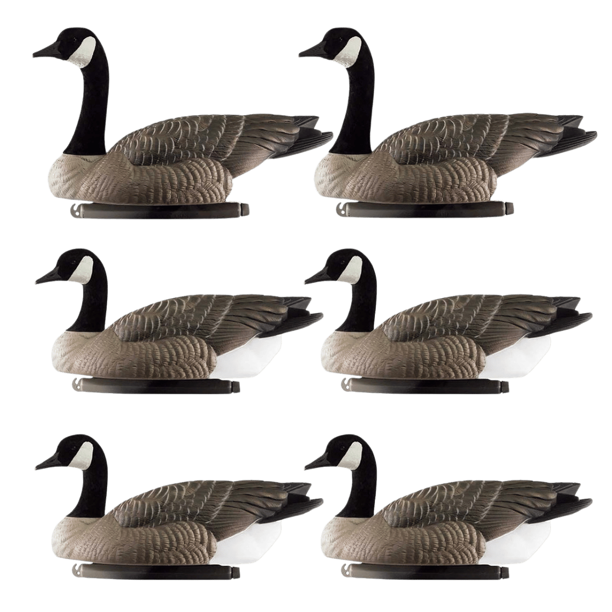 DOA DECOYS ROGUE SERIES FLOAT GOOSE 6 PACK FULL VIEW