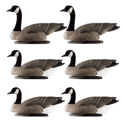 DOA DECOYS ROGUE SERIES FLOAT GOOSE 6 PACK FULL VIEW