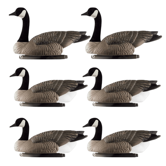 DOA DECOYS ROGUE SERIES FLOAT GOOSE 6 PACK FULL VIEW