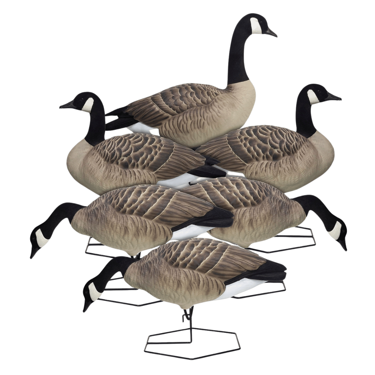 DOA DECOYS ROGUE SERIES FULL BODY MIX 6PK 6 PCS VIEW