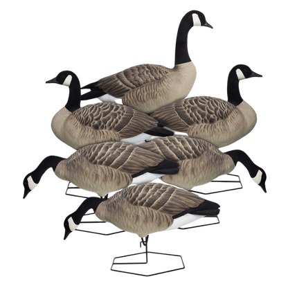 DOA DECOYS ROGUE SERIES FULL BODY MIX 6PK 6 PCS VIEW