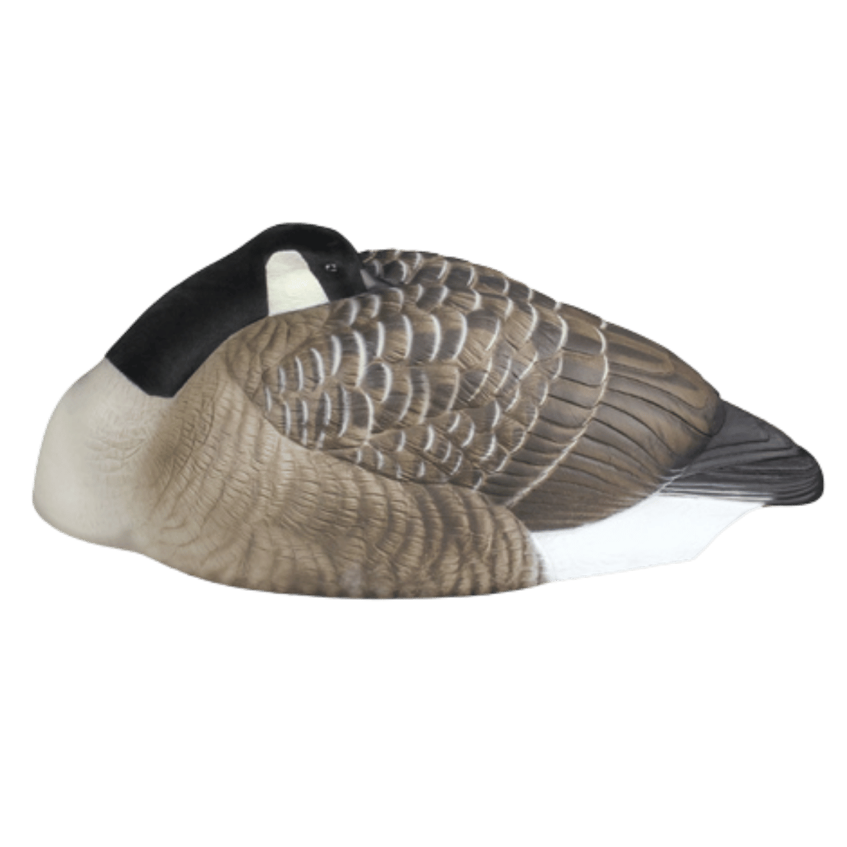 DOA DECOYS ROGUE SERIES SLEEPER SHELLS 12 PACK 2ND DECOY SIDE VIEW