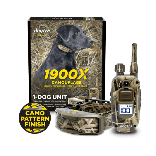 Dogtra 1900X Camouflage 1-dog training collar system, featuring camo pattern remote transmitter, matching receiver collar, and product packaging with a black Labrador retriever wearing the collar in a field setting.