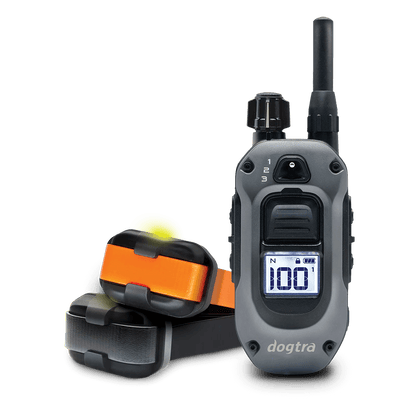 Dogtra 280X remote training system featuring a handheld remote with digital display and two compact training collars—one with a high-visibility orange strap and one with a black strap. Designed for training two dogs, the remote displays a stimulation level of 100 and includes toggle controls for switching between collars.
