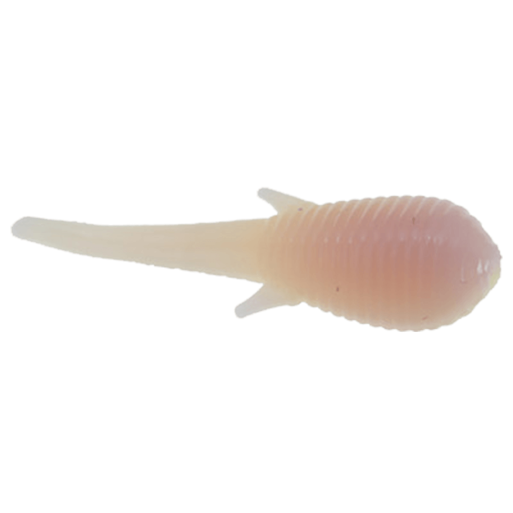 CLAM SOLDIER FLY
Electric Chicken