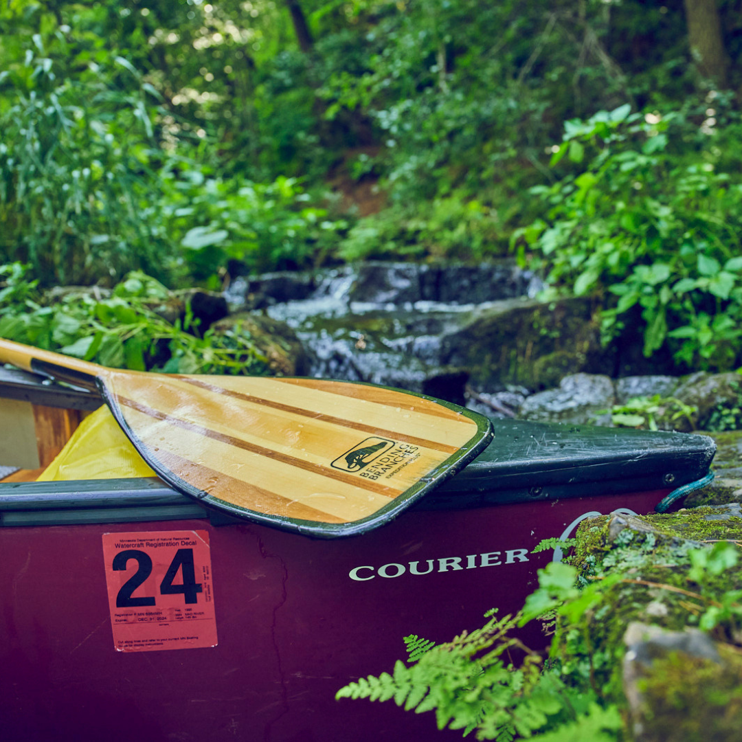 Bending Branches Expedition Plus Canoe Paddle