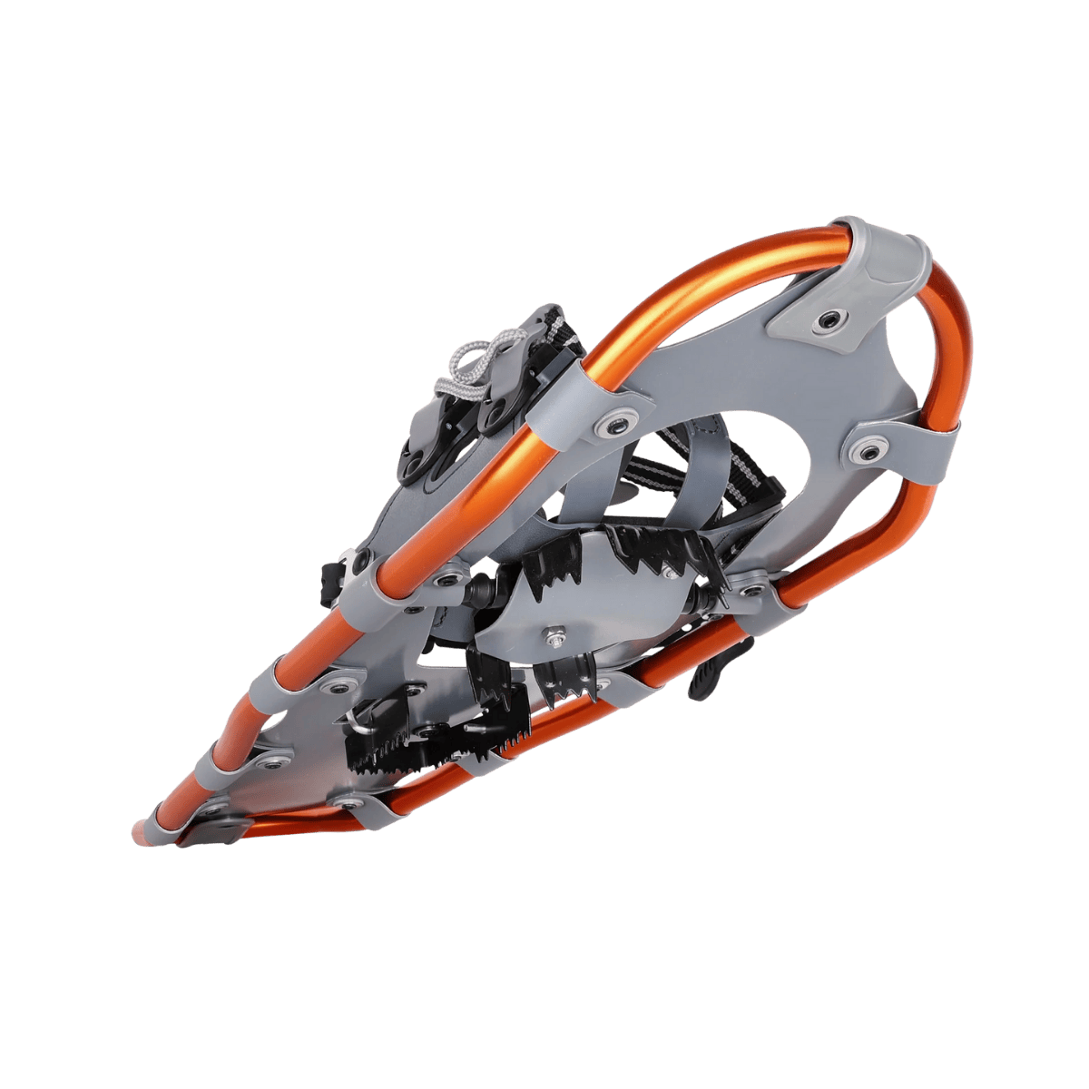 EXPEDITION TRUGER TRAIL II SERIES KIT - BOTTOM VIEW