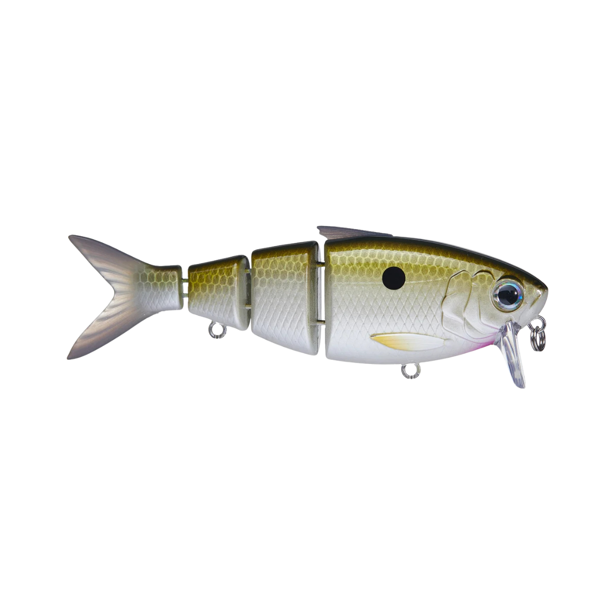 FISH LAB BBZ BIO SHAD CRANKBAIT TENNESSEE SHAD