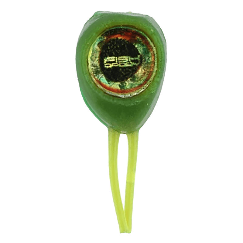 FISH DADDY DOUBLE EYE SOFT 6PK GREEN