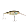 MF BLUEGILL