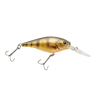 YELLOW PERCH
