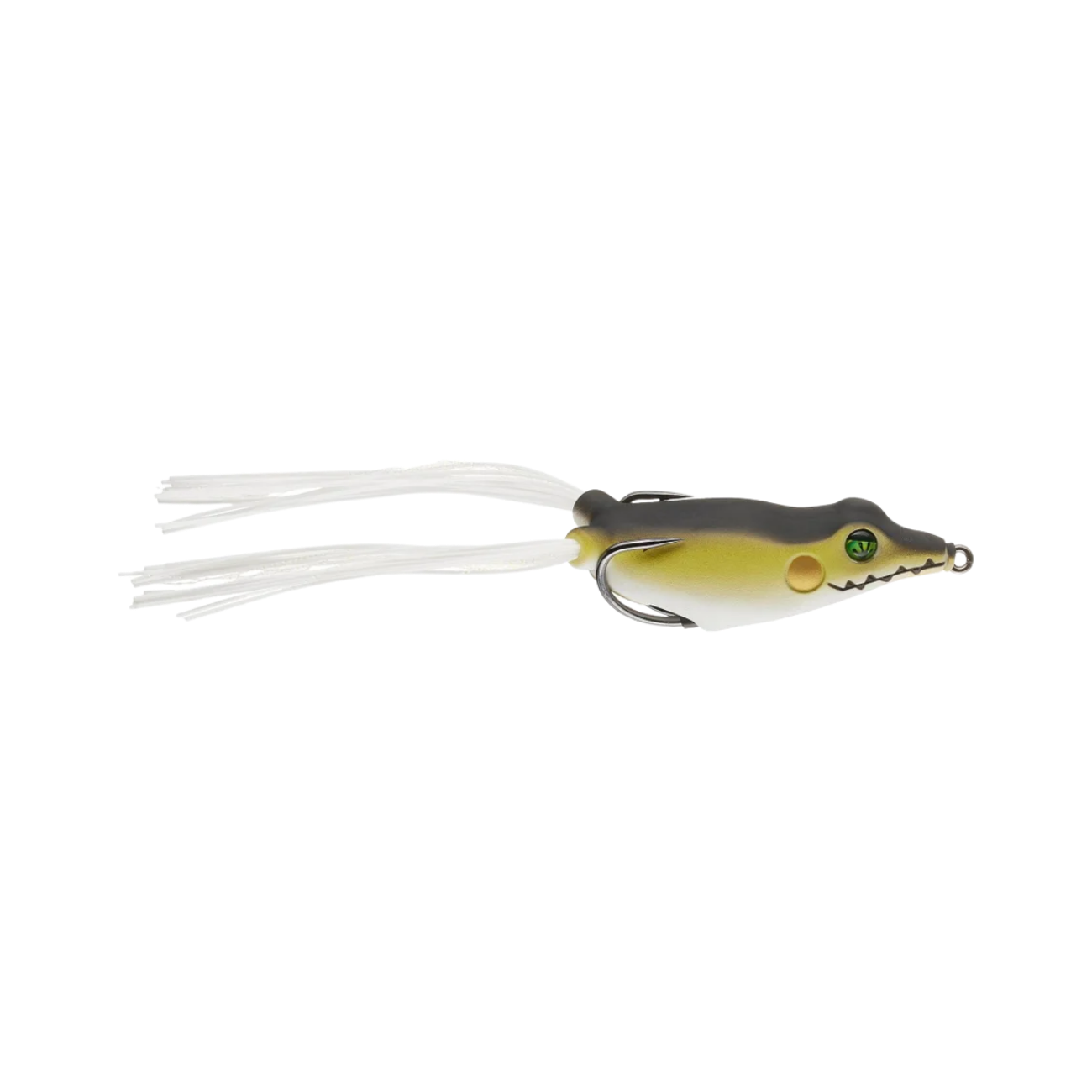 FROG FACTORY SONIC BOOM FROG FREDS FROG