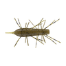 KUWASE GP